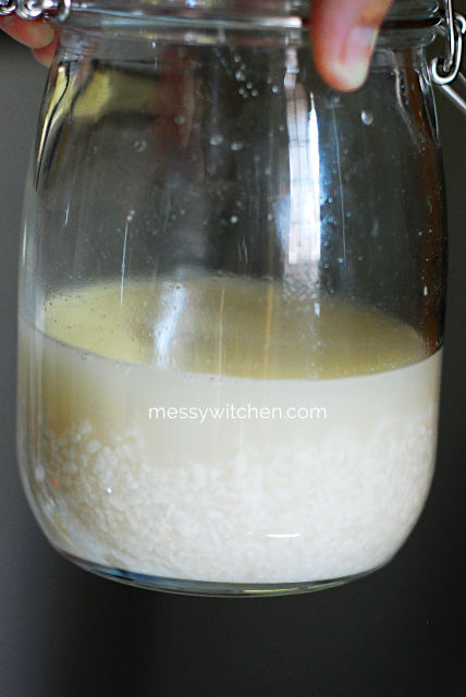 Mix Dried Koji Rice, Sea Salt & Water